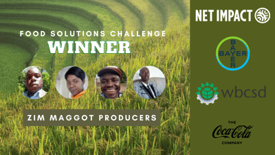 Zim Maggot Producers Wins the 2021 Food Solutions Challenge