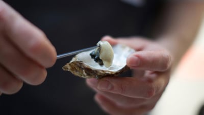 3 Skill Sets that Will Make the (Sustainable) World Your Oyster