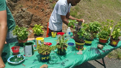 Tiny Green Spaces For Everyone